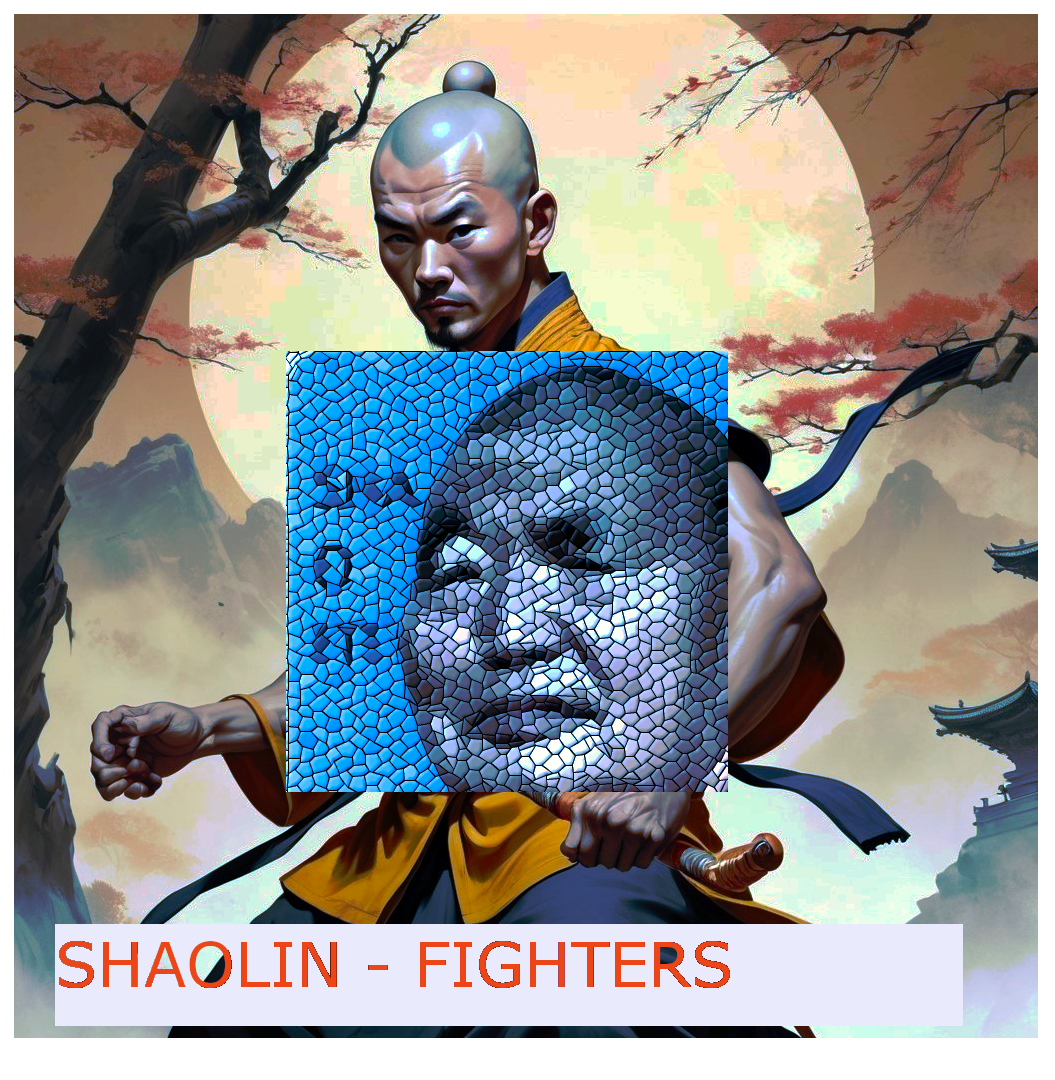Shaolin Fighters:Weekly training 2025 Fighters Logo